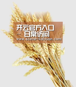 开云官方入口 - 日常访问