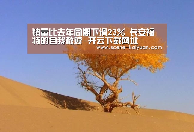 开云下载网址