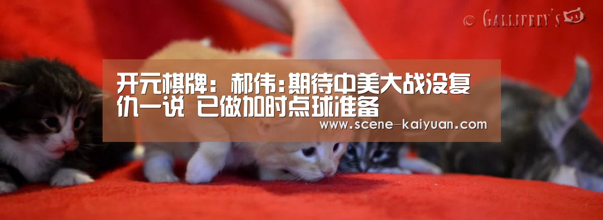 开元棋牌app