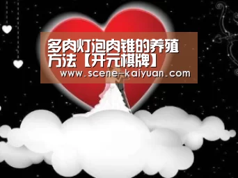 多肉灯泡肉锥的养殖方法【开元棋牌】(图2) 开元棋牌