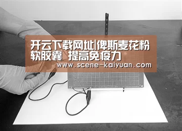 开云下载网址|俾斯麦花粉软胶囊 提高免疫力(图2) 开云下载网址